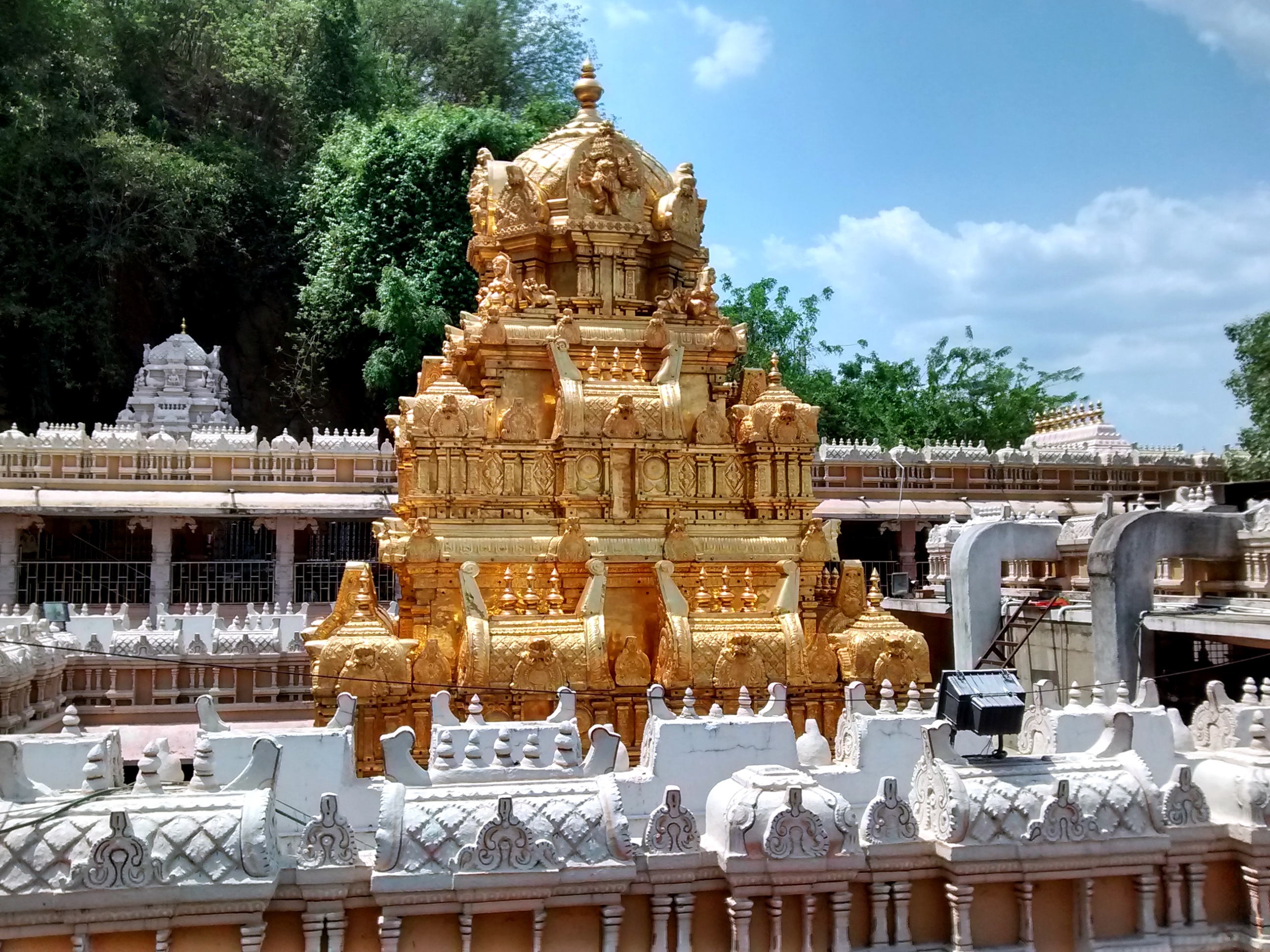 Nadi Jyothisham in Vijayawada-