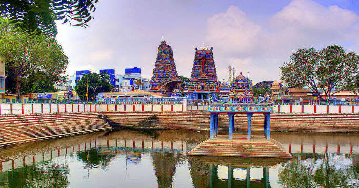 Nadi Astrology in Bangalore Reviews: Unveiling the Expertise of Guruji N. Sri Krishna Swami
